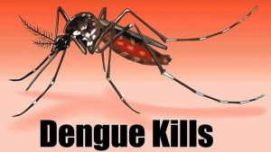 dengue-cghs_0