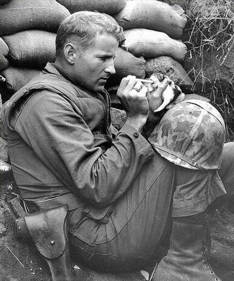 a-sergeant-looks-after-a-2-week-old-kitten-during-the-korean-war