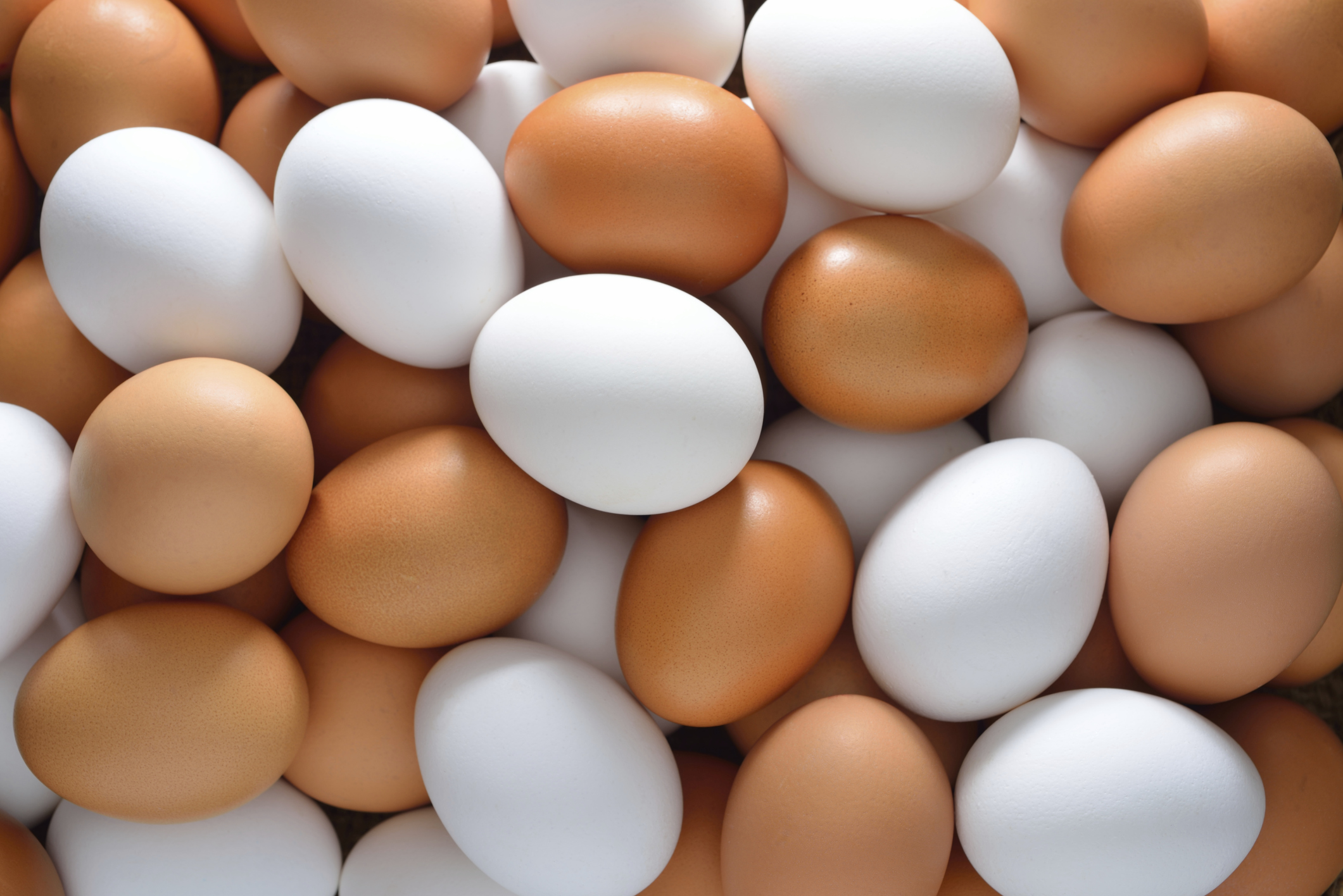 अंडे खाने से कम होता है हार्ट स्ट्रोक्स के चांसेस अंडा खाना यूं तो सेहत के लिए फायदेमंद माना जाता है लेकिन अंडा खाने का ये फायदा शायद ही आपने पहले कभी सुना हो.