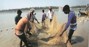 तमिलनाडु के 69 मछुआरों को छोड़ेगा श्रीलंका, जाफना और वावुनिया की अदालतों ने दिए रिहाई के आदेश|