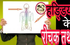 हड्डियों के बारे में रोचक जानकारी और तथ्य