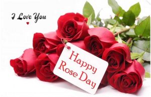 Rose Day Messages, Quotes, Wishes, Status & hd images अपने दोस्तों के साथ करे शेयर|