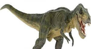 जानिए! विशालकाय जानवर डायनासोर के बारे कुछ महत्वपूर्ण बाते| Facts about Dinosaur in Hindi, डायनासोर का इतिहास, अंडे, फोटो, कैसे मरे, प्रजातिया, dinosaur ke bare me, wikipidia.