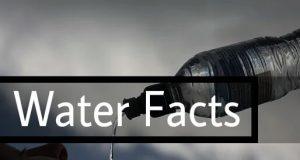 पानी के बारे में 30 रोचक तथ्य, Facts about Water in Hindi, उपयोग, बीमारी, विश्व जल दिवस कब मनाया जाता है, pani ke baare mein rochak jankari, Water Facts, H2O Facts