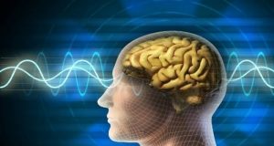पढ़िए! दिमाग से जुड़े कुछ रोचक तथ्य| Facts about Brain in Hindi, Dimag Ke Bare Me, ब्रेन का वैट कितना होता है? दिमाग wikipidia, दिमाग क्या है, ह्यूमन ब्रेन इन हिंदी, मस्तिष्क के कार्य, जानकारी|