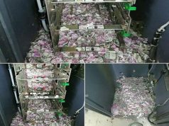 चूहों ने कुतरे एटीएम में रखे 12 लाख रूपये के 2000 और 500 रूपये के नोट