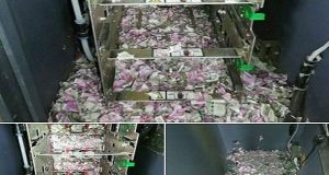 चूहों ने कुतरे एटीएम में रखे 12 लाख रूपये के 2000 और 500 रूपये के नोट