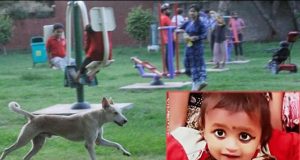 पार्क में खेलने गए डेढ़ साल के मासूम की कुत्तों ने नोच-नोच कर की हत्या