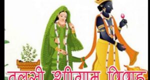 Tulsi Vivah Shubh Muhurat, Shadi Ki Vidhi, Dev Uthan Ekadashi Mantra, Mahatva, Importance, Significance तुलसी विवाह 2023 Date, Time, Kab Hai Devothan Devutthana