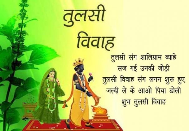 Tulsi Vivah Wishes, Messages, Status, Shayari, Quotes, Images | तुलसी ...