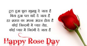 हैप्पी रोज डे शायरी | Rose Day 2023 Shayari in Hindi, English, Urdu, Punjabi, Girlfriend, Boyfriend, Wife, Husband, BF, GF, Whatsapp, Facebook, Fb, Rose Flowers