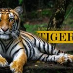 international tiger day shayari