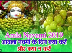 Amla Navami 2019: जानिए! आंवला नवमी के दिन क्या करें और क्या न करें
