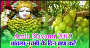 Amla Navami 2019: जानिए! आंवला नवमी के दिन क्या करें और क्या न करें