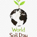 विश्व मृदा दिवस 2019: World Soil Day Messages, Quotes, Poster, Slogan, History