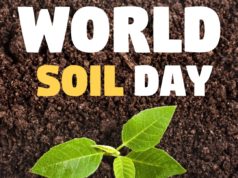 क्यों मनाया जाता है विश्व मृदा दिवस 2022: World Soil Day Messages, Quotes, Poster, Slogan, History, Theme, Banner, Drawing, Kavita, Nibandh, Bhashan, Speech, Essay Poem download