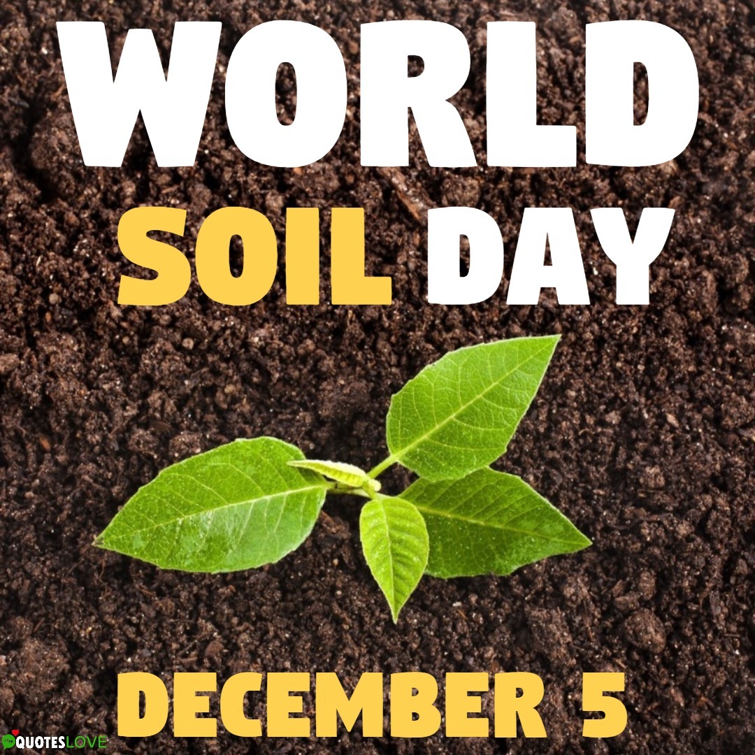 विश्व मृदा दिवस 2019: World Soil Day Messages, Quotes, Poster, Slogan, History