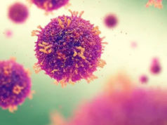 Whats is Novel Coronavirus in Hindi: नोवेल कोरोना वायरस क्या है? कैसे फैलता है? इसके लक्षण, कारण और बचाव के उपाय