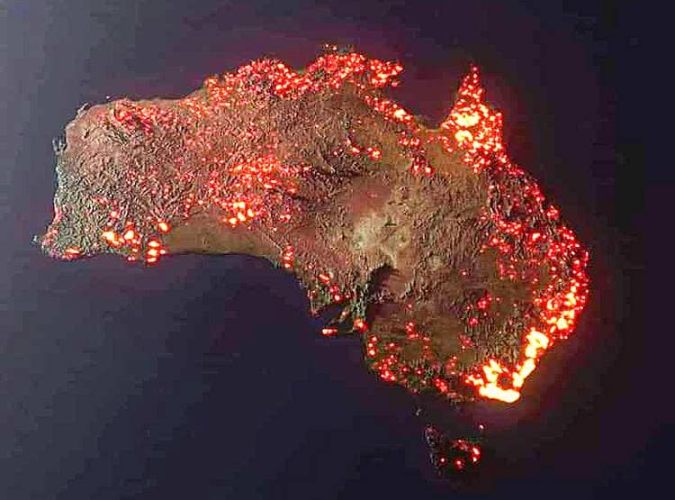 ऑस्ट्रेलिया: जंगल में लगी भीषण आग से 50 करोड़ के करीब जानवरों की मौत, Photo देख निकल आएंगे आंसू