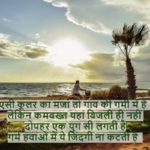 Good Afternoon Shayari in Hindi English Urdu Marathi Tamil & Telugu | शुभ दोपहर, दोपहर की शायरी, गुड आफ्टरनून शायरी इमेज, गुड आफ्टरनून विशेष for Whatsapp Status