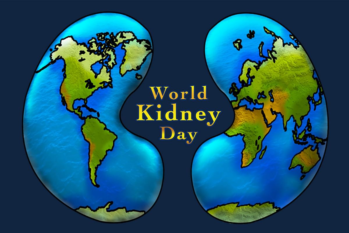 World Kidney Day 2020 Quotes & Slogans Images in Hindi, English, Tamil, Telugu, Marathi, Gujarati, Punjabi, International Kidney Day Celebrations | वर्ल्ड किडनी डे
