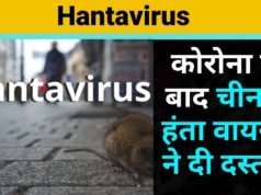 Hantavirus has once again made his knock in China, but Chinese doctors have said that there is no need to fear it, but what is the whole truth? पढ़े पूरा सच