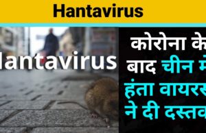 Hantavirus has once again made his knock in China, but Chinese doctors have said that there is no need to fear it, but what is the whole truth? पढ़े पूरा सच