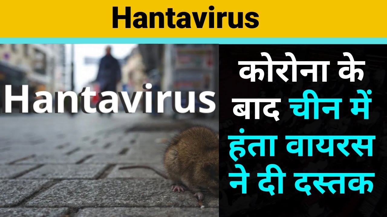 Hantavirus has once again made his knock in China, but Chinese doctors have said that there is no need to fear it, but what is the whole truth? पढ़े पूरा सच