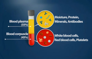 What is Plasma Treatment? It is possible to treat coronavirus (COVID-19) प्लाज्मा ट्रीटमेंट से कोरोना वायरस का इलाज किया जा सकता है ! पढ़े पूरी ख़बर ICMR ने क्या कहा ?