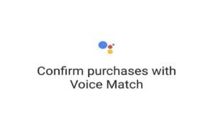 Google Voice Payment Update: Now you will be able to speak, how will you be able to use? | वाइस-पेमेंट को लेकर यूजर्स की चिंताएं सभी जानकारी हिंदी में जाने