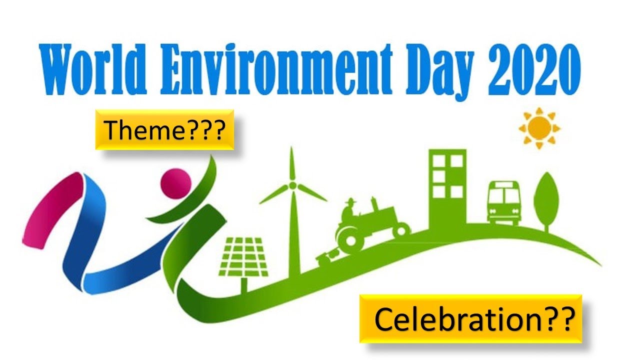 World Environment Day 2020 Theme and Slogan & Quotes in HIndi, Vishwa Paryavaran Diwas Par kavita Kavita, वर्ल्ड एनवायरनमेंट डे क्यों मनाया जाता है ? Why Celebrate?