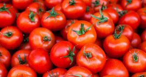 Benefits of Tomatoes for Healths What are the benefits of eating raw tomatoes?, अगर आप रोज टमाटर खाते हैं तो क्या होता है?, आपको टमाटर क्यों खाना चाहिए? Health Tips