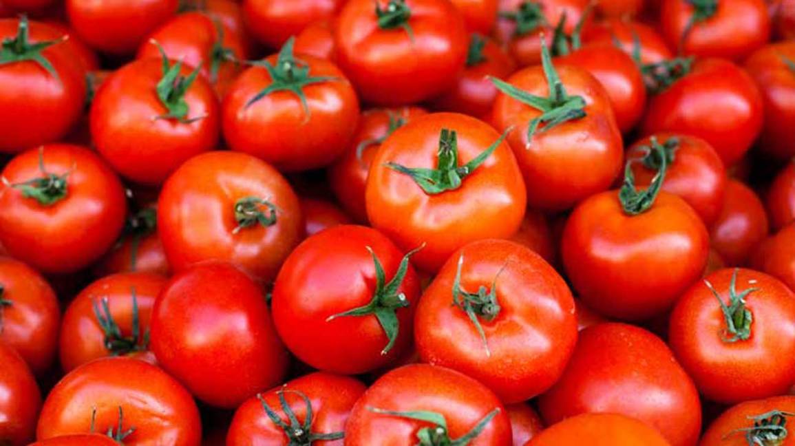 Benefits of Tomatoes for Healths What are the benefits of eating raw tomatoes?, अगर आप रोज टमाटर खाते हैं तो क्या होता है?, आपको टमाटर क्यों खाना चाहिए? Health Tips