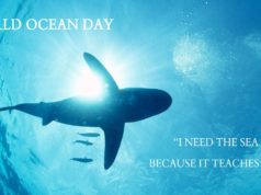 World Ocean Day Quotes Messages Slogans in Hindi - विश्व महासागर दिवस 8 June, world ocean day theme 2021, विश्व महासागरीय दिवस, वर्ल्ड ओसन्स डे क्या है ?