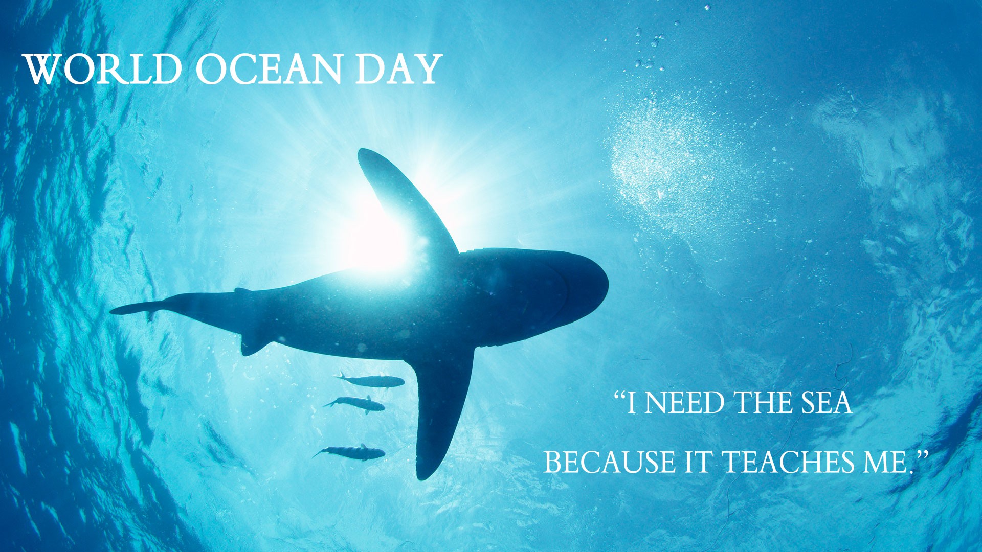 World Ocean Day Quotes Messages Slogans in Hindi - विश्व महासागर दिवस 8 June, world ocean day theme 2020, विश्व महासागरीय दिवस, वर्ल्ड ओसन्स डे क्या है ?