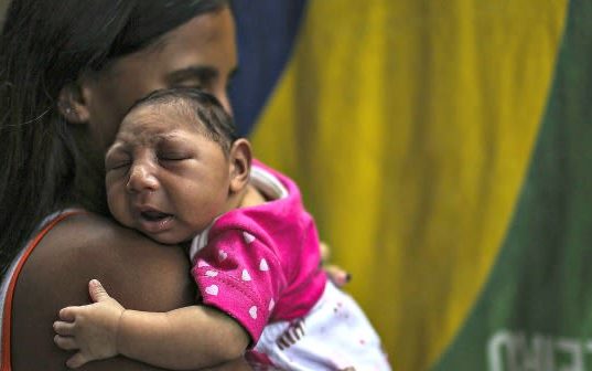 Zika Virus & Pregnancy: Symptoms of zika Virus, vaccine, treatment, how to avoid it, what precautions should be taken, ज़ीका वायरस के लक्षण, ज़ीका वायरस का उपचार