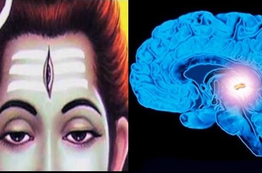 Secrets of Lord Shiva in Hindi, Lord Shiva Facts in Hindi, Bholenath Facts in Hindi, Shiv Bhagwan Facts in Hindi, शिव भगवान से जुड़े रहस्य और फैक्ट्स जिसे जानना जरुरी