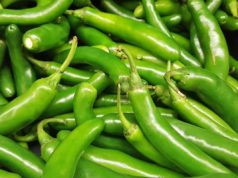 These 5 Big Benefits of Eating Green Chili, Benefit of Eating Green Chillies in Hindi, प्रचुर मात्रा में विटामिन, पाचन क्रिया में सहायक, आँखों के लिए फायदेंमंद, प्रचुर पोषक तत्व