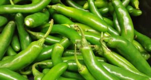 These 5 Big Benefits of Eating Green Chili, Benefit of Eating Green Chillies in Hindi, प्रचुर मात्रा में विटामिन, पाचन क्रिया में सहायक, आँखों के लिए फायदेंमंद, प्रचुर पोषक तत्व