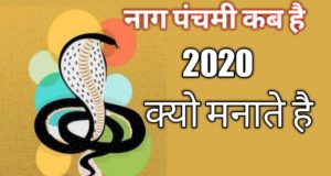 Nag Panchami 2020 date muhurat puja or mantra in Hindi, कब है नाग पंचमी ?, नाग पंचमी का मुहूर्त, नाग पंचमी पूजा का महत्व, नाग पंचमी मंत्र, नाग पंचमी पूजा करने की विधि