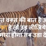Tiger Shayari Status Quotes in Hindi – टाइगर शायरी, बाघ शायरी