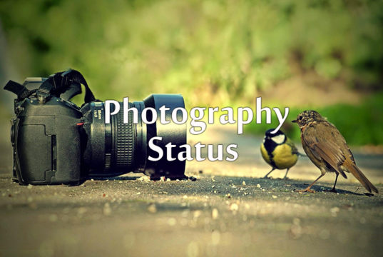 Photography Shayari, Photography Status, Photography Quotes, Photography Shayari in Hindi, Photography Status in Hindi, Photography Quotes in Hindi, फोटोग्राफी शायरी स्टेटस कोट्स