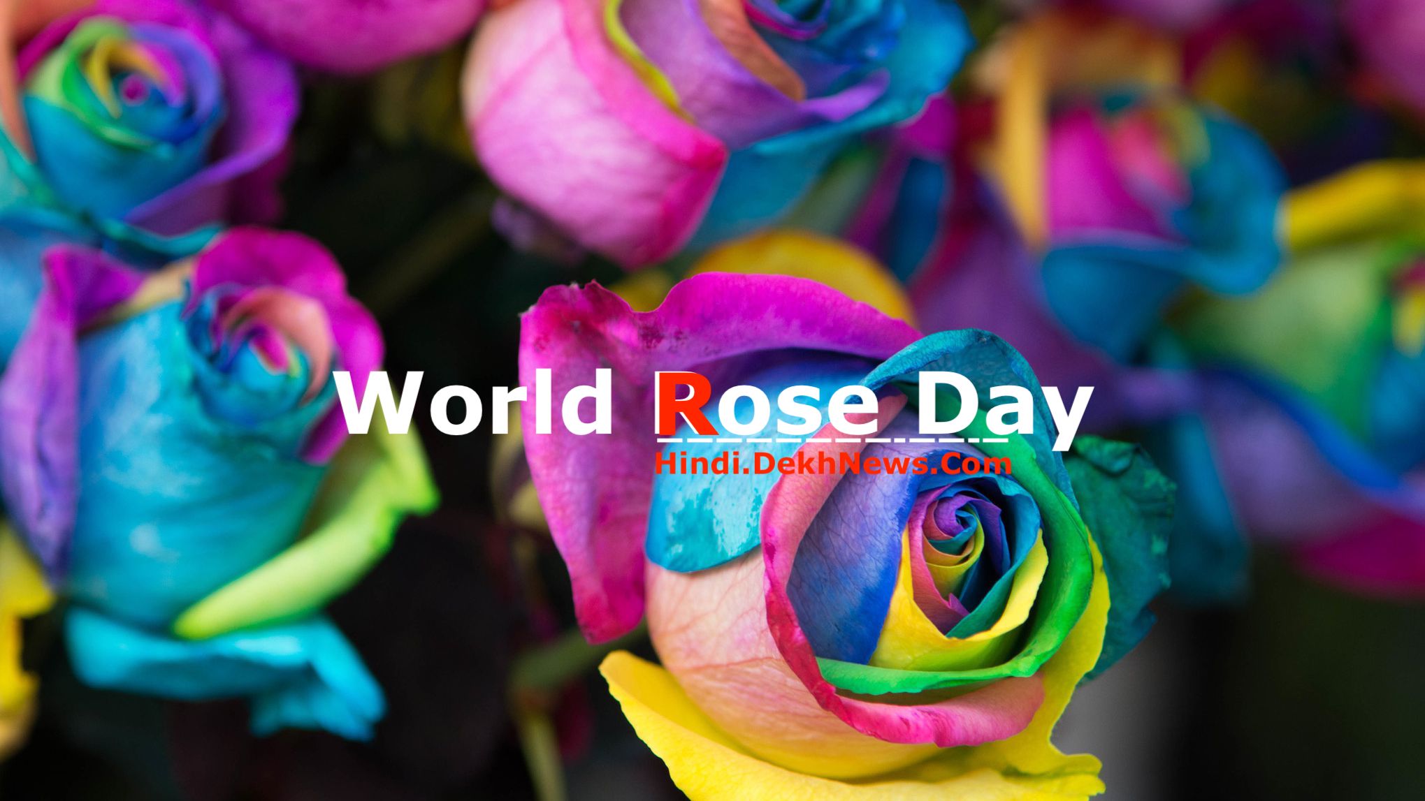 World Rose Day 2020, 22 September Rose Day, Rose Day 2020 Theme, रोज दिवस, रोज डे, World Rose Day 2020 History, World Rose Day 2020 History Importance Facts, क्यों मनाया जाता है रोज दिवस