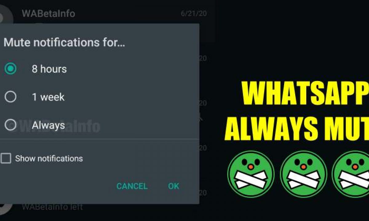 2020 New Feature of Whatsapp "Always mute" in Hindi, How to Use this Feature Here Step By Step, How to Mute a Group or a Particular Person Forever in Hindi