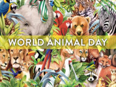 World Animal Day Quotes Shayari Slogans Status Images in Hindi, वर्ल्ड एनिमल डे के नारे स्लोगन 2023, अंतर्राष्ट्रीय पशु दिवस पर शायरी और इतिहास (History) Kyu Mnate Hai?