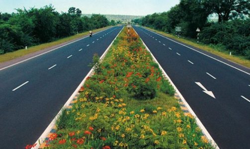 Amazing Facts in Hindi 2020: Sadak ke Beech Jhaadiyaan or Paudhe kyon Lagae Jaate Hain ?, Why Shrubs and Plants are Planted in the Middle of the Road in Hindi,