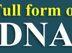 डीएनए का फुल फॉर्म क्या है आप में से बहुत लोगो को पता नहीं होगा. यहाँ आपको DNA full form in Hindi, या कानून का स्नातक के बारे में पूरी जानकारी हिंदी में मिलेगा