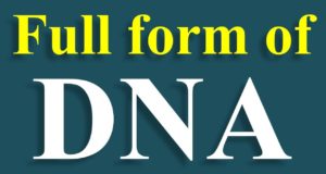 डीएनए का फुल फॉर्म क्या है आप में से बहुत लोगो को पता नहीं होगा. यहाँ आपको DNA full form in Hindi, या कानून का स्नातक के बारे में पूरी जानकारी हिंदी में मिलेगा