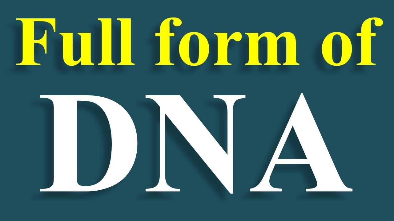 full-form-of-dna-in-hindi-dna-ka-full