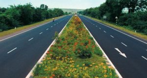 Amazing Facts in Hindi 2021: Sadak ke Beech Jhaadiyaan or Paudhe kyon Lagae Jaate Hain ?, Why Shrubs and Plants are Planted in the Middle of the Road in Hindi,